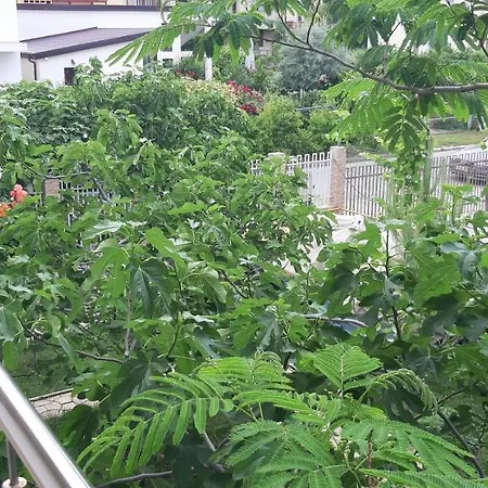 Casa Cora 3* Năvodari