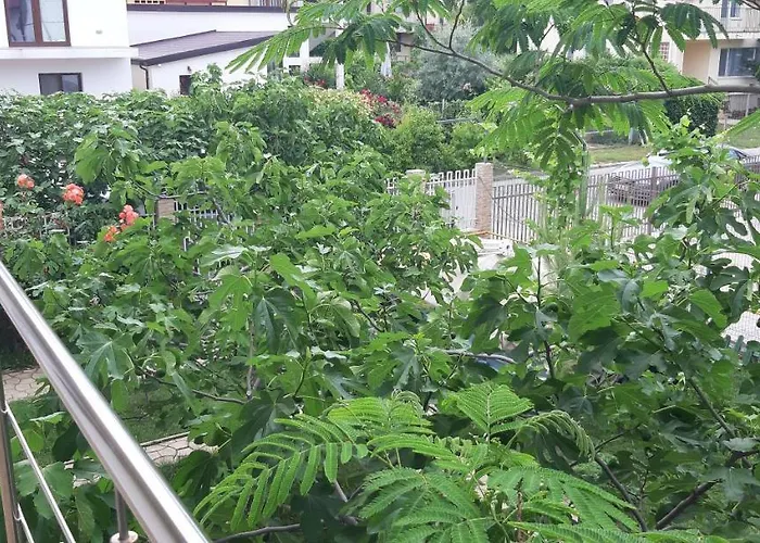 Casa Cora 3* Năvodari